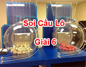 Soi-cau-lo-giai0-6